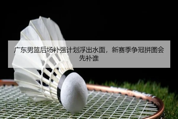 广东男篮后场补强计划浮出水面，新赛季争冠拼图会先补谁（yingjiatiyu）
